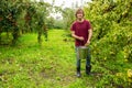 Pleased gardener picking fruit in the orchard