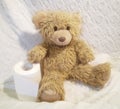 A pleased toy teddy bear sits on a white background, in the paws of his roll of toilet paper