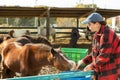 Pleased woman caring for pony horse at horse farm Royalty Free Stock Photo