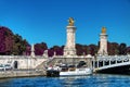 Pleasure boats docked on the Seine river next to the Alexander III Bridge, in Paris, France Royalty Free Stock Photo