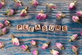 Pleasure on wooden cube Royalty Free Stock Photo