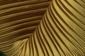 Pleated Fabric in long line drape with shadow Royalty Free Stock Photo