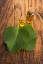 Plectranthus amboinicus with oil.