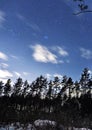 Pleiades open star cluster on night sky and clouds over winter forest