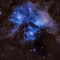 The Pleiades Star Cluster