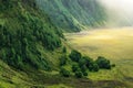 Plentifully tropical rain forest on mountain hills landscape in the morning Royalty Free Stock Photo