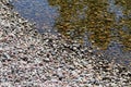 Colorful Pebble Stones by Water, Some Rocks are Wet and Some Dry Royalty Free Stock Photo