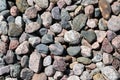 Colorful Pebble Stones by Water, Some Rocks are Wet and Some Dry Royalty Free Stock Photo