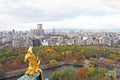 Plenty of Colorful tree with high building, Kyoto, Japan, 2017