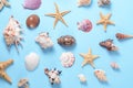 Plenty of different seashells on a blue background. Seaside themed backdrop for travel agency template advertising or Royalty Free Stock Photo