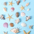 Plenty of different seashells on a blue background. Seaside themed backdrop for travel agency template advertising or Royalty Free Stock Photo