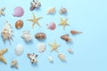 Plenty of different seashells on a blue background. Seaside themed backdrop for travel agency template advertising or Royalty Free Stock Photo