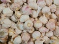 Plenty of garlic in the market Royalty Free Stock Photo