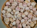 Plenty of garlic in the market Royalty Free Stock Photo