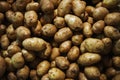 Plenty of fresh potatoes on a counter in a market Royalty Free Stock Photo