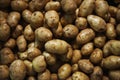 Plenty of fresh potatoes on a counter in a market Royalty Free Stock Photo