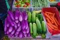 Plenty of fruits and vegetables,eggplants,cucumbers, coconuts,beans, carrots, chili peppers Royalty Free Stock Photo