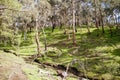 Plenty Gorge Parklands in Australia