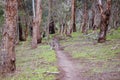 Plenty Gorge Parklands in Australia