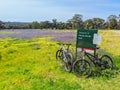 Plenty Gorge Parklands in Australia