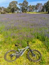 Plenty Gorge Parklands in Australia