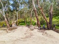 Plenty Gorge Parklands in Australia