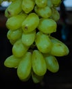 Plenty of Green Grapes Looking Fresh & Attractive. Image 3.