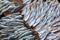 Plenty of headless fish at the market for sell