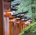 Japanese traditional wooden torii