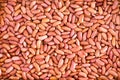 Plenty of Light Red Kidney Beans for Backgrounds