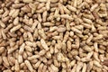 Peanuts seed. Many groundnuts in shells. Peanuts background