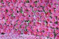 Plenty pink natural flowers seamless background