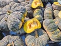 Plenty of pumpkins with golden yellow flesh Royalty Free Stock Photo