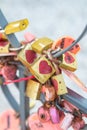 Plenty of Red Heart Lock Romance Love Royalty Free Stock Photo