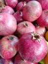 Plenty of red ripe pomegranates