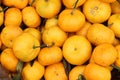 Plenty of tangerines or orange in a market Royalty Free Stock Photo