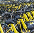 Plenty of yellow bikes