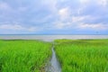 Pleshcheevo lake before rain Royalty Free Stock Photo