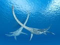 Plesiosaur Styxosaurus Royalty Free Stock Photo