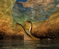 Plesiosaurus Cavern Royalty Free Stock Photo