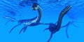 Plesiosaurus Marine Reptiles