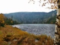 Plesne lake, acid lake in ÃÂ umava mountains, bohemia, Czech Republic, acid Rain