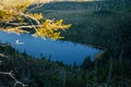 Plesne Lake in the Bohemian Forest, Sumava national park, Nova Pec, Czech Republic