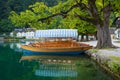 Pletna boats dock under a lakeside tree on Lake Bled, Slovenia