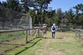 In the Jukani Wildlife Sanctuary, near Plettenberg Bay, Garden Route, South Africa.