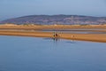 Locals enjoy a day on the beach with their dogs Royalty Free Stock Photo