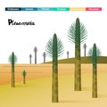 Pleuromeia giant plants Prehistoric Royalty Free Stock Photo