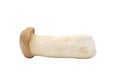 Pleurotus Eryngii King Oyster Mushroom isolate on white background with clipping path Royalty Free Stock Photo