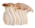 Pleurotus eryngii, king oyster mushroom, king trumpets. Raw sliced mushroom isolated on white
