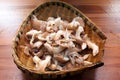 Pleurotus mushroom. Royalty Free Stock Photo